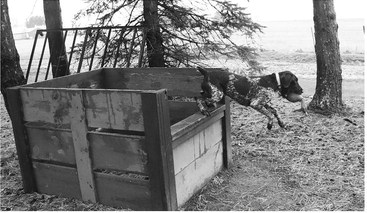 though he has trained other ….