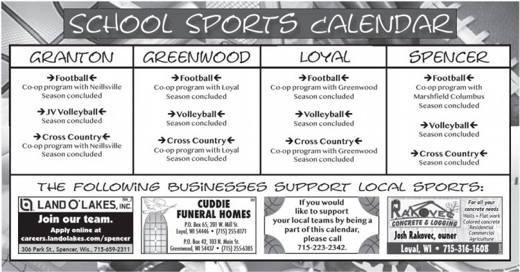 recordgleaner_20241106_trg-2024-11-06-0-014_art_2.xml