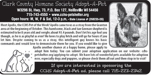 recordgleaner_20241120_trg-2024-11-20-0-011_art_2.xml