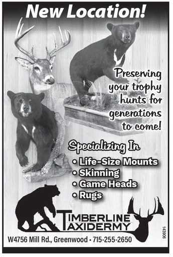 recordreview_20241113_trr-2024-11-13-b-005_art_1.xml