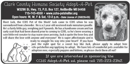 recordgleaner_20241106_trg-2024-11-06-0-017_art_1.xml