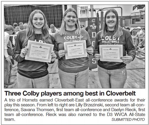 tribunephonograph_20241120_ttp-2024-11-20-0-010_art_3.xml