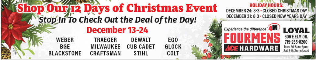 recordgleaner_20241211_trg-2024-12-11-0-015_w-opt_art_1.xml