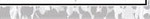 recordgleaner_20241225_trg-2024-12-25-0-011_art_1.xml