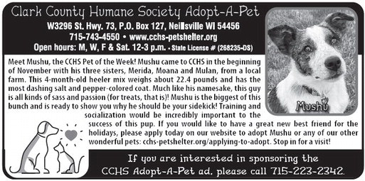 recordgleaner_20241211_trg-2024-12-11-0-007_art_1.xml