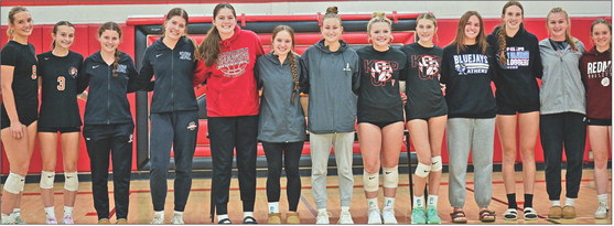 Volleyball postseason accolades