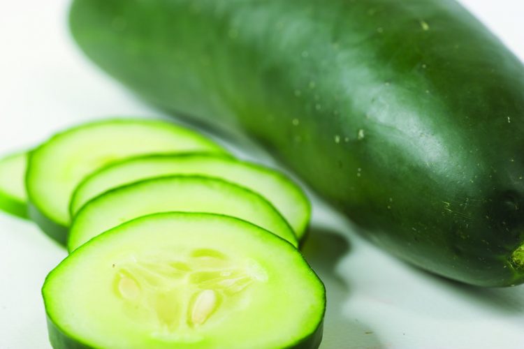 Cucumbers linked to host of Salmonella infections