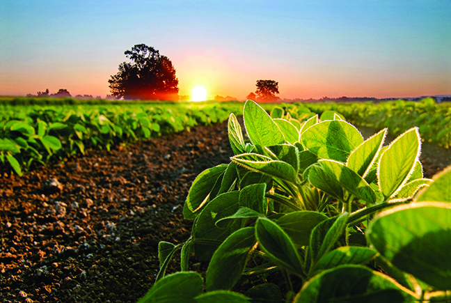 Marketing assistance available for specialty crop farms Marketing assistance available for specialty crop farms