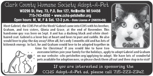 recordgleaner_20241218_trg-2024-12-18-a-004_art_7.xml