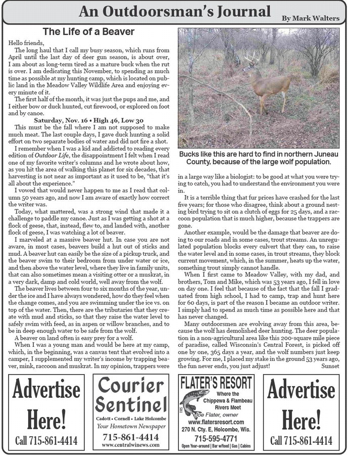 couriersentinel_20241205_ccs-2024-12-05-a-012_art_3.xml