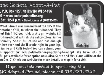 recordgleaner_20241204_trg-2024-12-04-0-007_art_1.xml