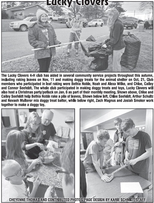 recordgleaner_20241204_trg-2024-12-04-0-018_art_1.xml