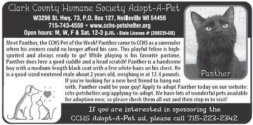 recordgleaner_20250122_trg-2025-01-22-a-006_art_2.xml