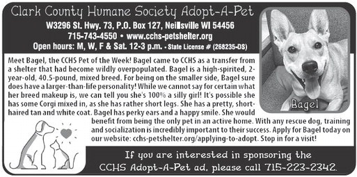 recordgleaner_20250115_trg-2025-01-15-0-006_art_2.xml