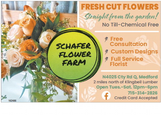 tribunephonograph_20250122_ttp-2025-01-22-b-015_art_5.xml