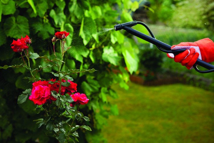 Get notice of when pesticides are applied Get notice of when pesticides are applied