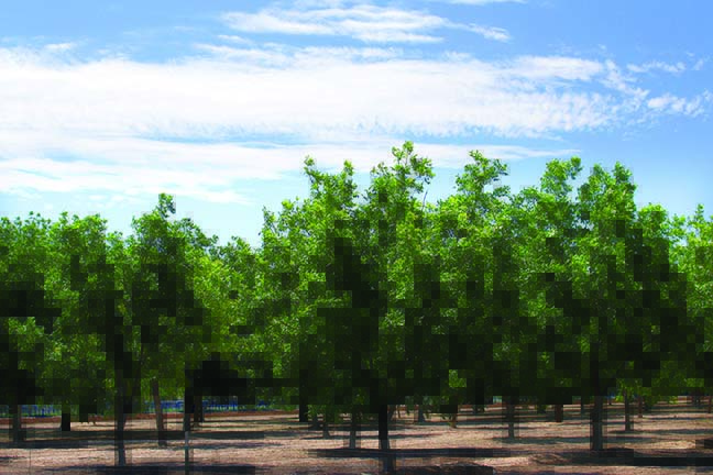 USDA needs to know what to do with draft programs USDA needs to know what to do with draft programs