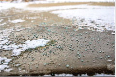 Reduce salt use to keep chlorides down in drinking water Reduce salt use to keep chlorides down in drinking water