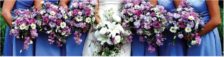 Roles played by bridesmaids and the maid of honor Roles played by bridesmaids and the maid of honor