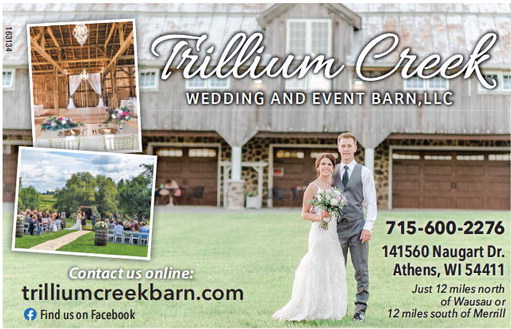 recordgleaner_20250122_trg-2025-01-22-b-016_art_3.xml