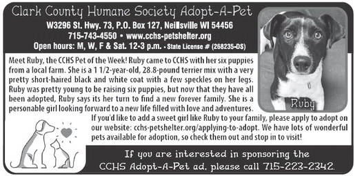 recordgleaner_20250129_trg-2025-01-29-0-006_art_4.xml