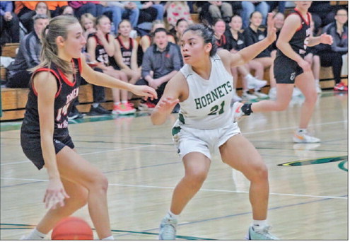 Hornets drop pair of Cloverbelt-East contests