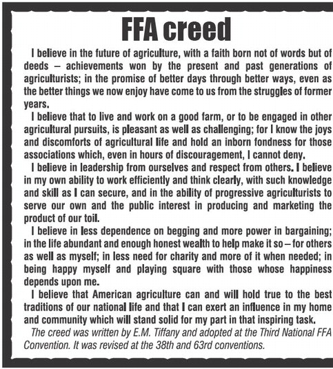 recordgleaner_20250219_trg-2025-02-19-b-018_art_1.xml