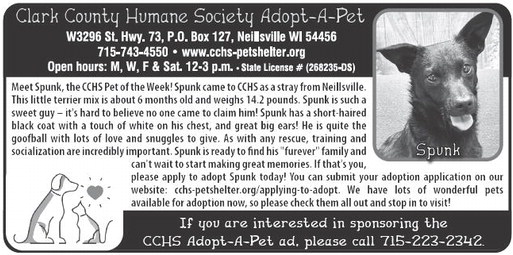 recordgleaner_20250212_trg-2025-02-12-0-008_art_5.xml