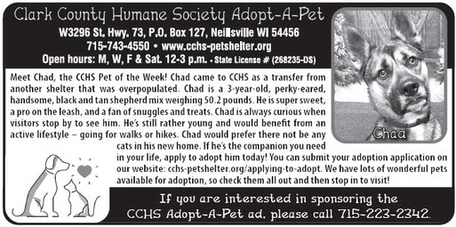 recordgleaner_20250205_trg-2025-02-05-0-006_art_3.xml