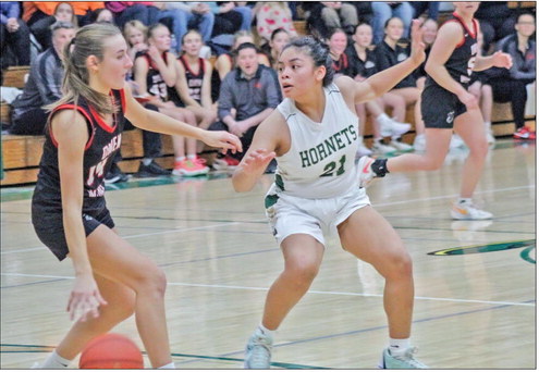 Hornets drop pair of Cloverbelt-East contests Hornets drop pair of Cloverbelt-East contests