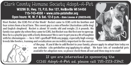 recordgleaner_20250219_trg-2025-02-19-a-004_art_3.xml