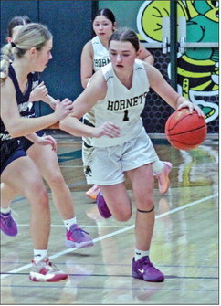Hornets best Athens, can’t rally past Dons