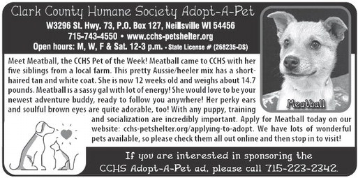 recordgleaner_20250402_trg-2025-04-02-0-008_art_4.xml