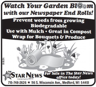 starnews_20250424_tsn-2025-04-24-b-016.001_w-or9_art_3.xml