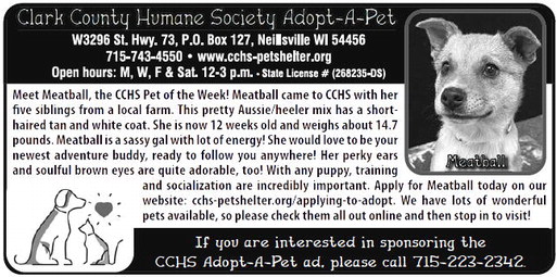 recordgleaner_20250402_trg-2025-04-02-0-008_w-or9_art_3.xml