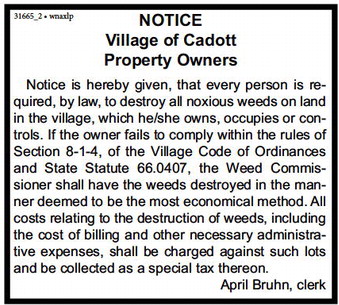 couriersentinel_20250417_ccs-2025-04-17-a-014_art_2.xml