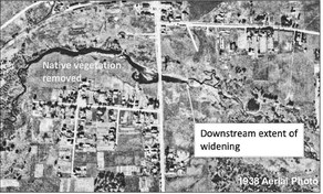 Scotch Creek restoration plans in question