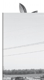 recordgleaner_20250514_trg-2025-05-14-a-007_art_1.xml