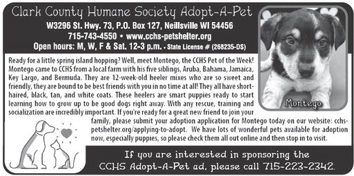 recordgleaner_20250521_trg-2025-05-21-0-004_art_5.xml