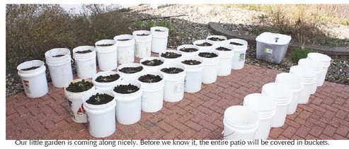 Happy composting