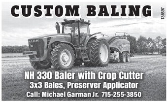 recordgleaner_20250521_trg-2025-05-21-0-002_w-opt_art_1.xml