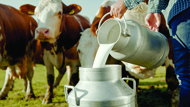 Monthly milk testing will look for H5N1 in samples
