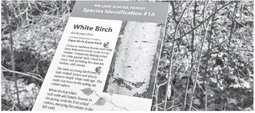Accessibility, education at heart of Rib Lake trail upgrades