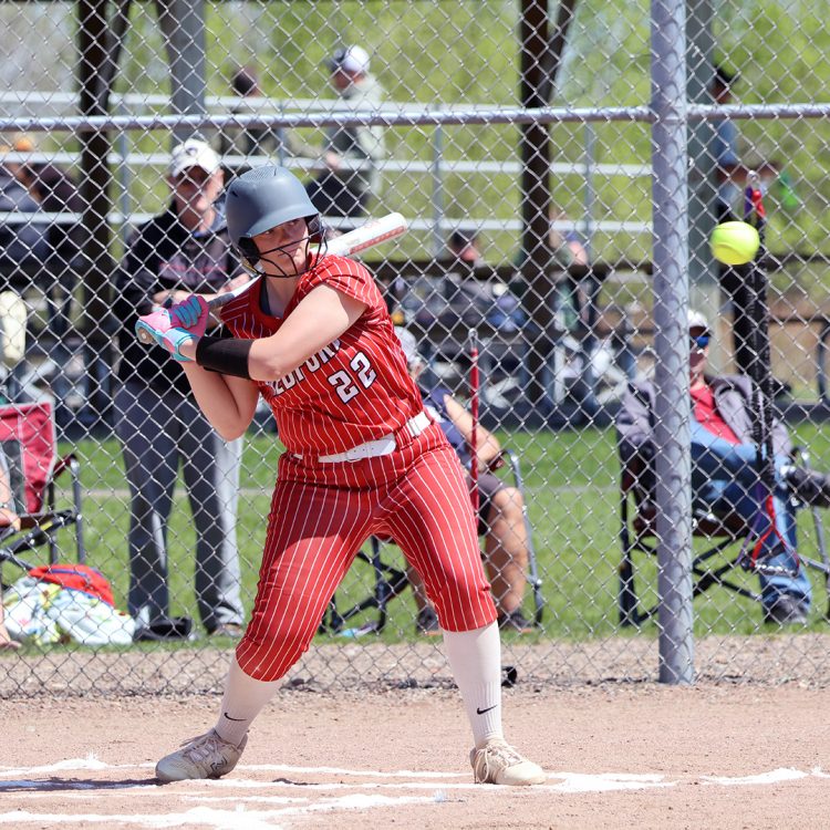 All-State awards for Hraby, Leonhardt; 2 more All-District