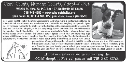 recordgleaner_20250611_trg-2025-06-11-a-004_art_5.xml