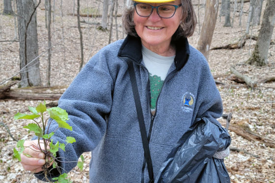 Take action on invasive species to protect natural areas