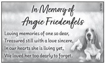 starnews_20250724_tsn-2025-07-24-a-019_art_5.xml