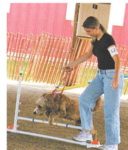 ANIMAL & VET S