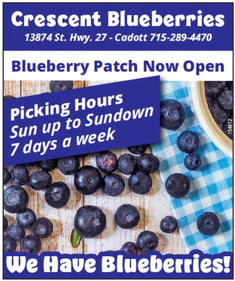 couriersentinel_20250724_ccs-2025-07-24-a-016_art_2.xml