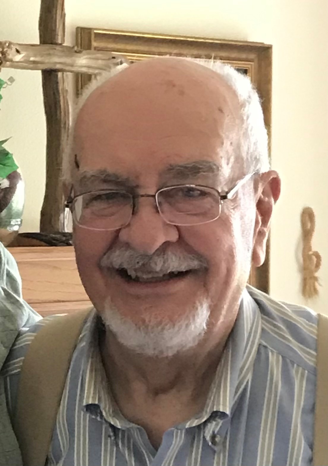 Stanley I. Carlson Jr.